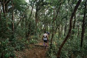 BIB: 
                            <button type="button" onclick="openModal(22795387)" class="btn btn-primary btn-sm float-right btn-popup" data-toggle="modal" data-target=".modal-high-quality">
                        <i class="fas fa-shopping-cart"></i> Add to Cart
                    </button>
                                            <button type="button" onclick="isThisMe(22795387, true)" class="btn btn-success btn-sm float-right btn-popup btn-isme hidden" data-toggle="tooltip" data-placement="bottom" title="นี่คือรูปของคุณใช่ไหม คลิกที่นี่เพื่อเอาเข้าอัลบั้ม">
                        <i class="fas fa-plus"></i> Add to album
                    </button>
                    <button type="button" onclick="isThisMe(22795387, false)" class="btn btn-warning btn-sm float-right btn-popup btn-isnotme hidden">
                        <i class="fas fa-ban"></i> Remove from album
                    </button>